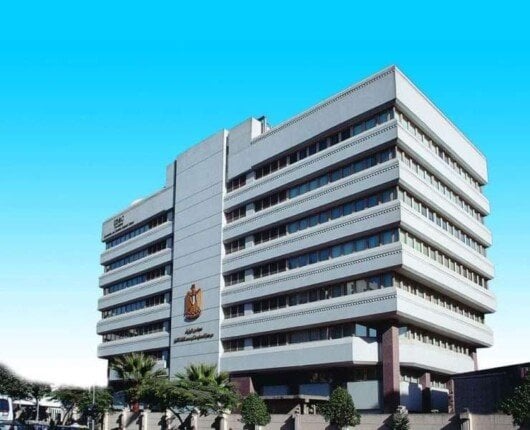 معلومات الوزراء يتيح إصدارة خاصة حول اتجاهات الرأي العام العالمي بشأن القضية الفلسطينية