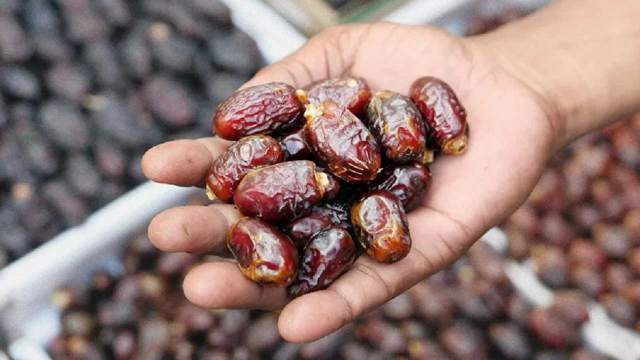 من المرتبة الـ12 إلى الثالثة: حكاية صعود تمر المجدول المصري للقمة