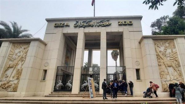 موعد افتتاح حديقة حيوان الجيزة 2025.. أسعار التذاكر بعد التطوير
