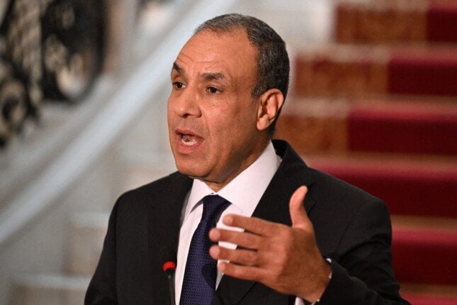 وزير الخارجية يؤكد استمرار الجهود المصرية لوقف إطلاق النار في غزة