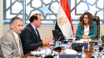 وزيرة التنمية المحلية تلتقي فريق عمل برنامج الأمم المتحدة الإنمائي لبحث نتائج التعاون في المشروعات المشتركة