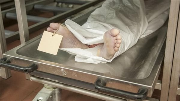وصلة ضرب وتعذيب.. شاب يقتل زوجته لشكه في سلوكها بكرداسة