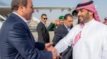 ولي العهد السعودي والرئيس السيسي يستعرضان سبل تعزيز التعاون بين القاهرة والرياض