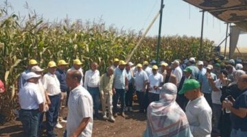 يوم الحقل السنوي.. وزير الزراعة يشهد إطلاق 23 هجينًا جديدًا من الذرة الشامية