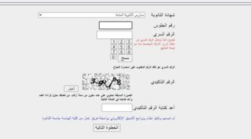 موقع التنسيق الإلكتروني 2025.. لـ الثانوية العامة والدبلومات الفنية (اعرف الفئات المستفيدة)