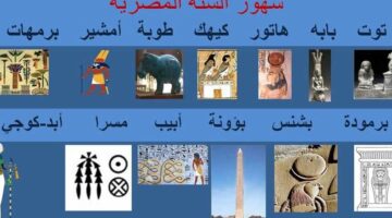 السنة القبطية في مصر.. أول تقويم نجمي شمسى عرفته البشرية (صور)