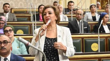 الحزب المصري الديمقراطي: نستهدف الطبقة الوسطى ونعد بحلول واقعية للمشاكل العامة