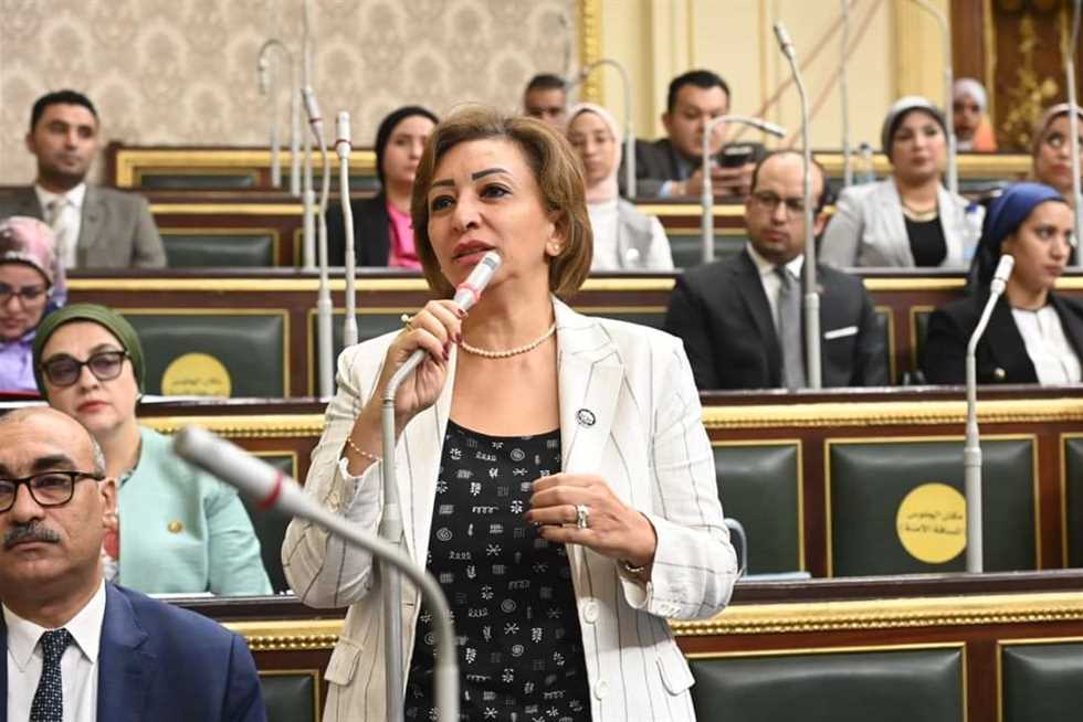 الحزب المصري الديمقراطي: نستهدف الطبقة الوسطى ونعد بحلول واقعية للمشاكل العامة