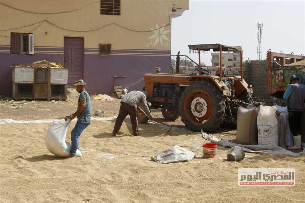 بكم طن الشعير؟.. أسعار الأرز اليوم الثلاثاء 9-9-2025 بـ أسواق الشرقية