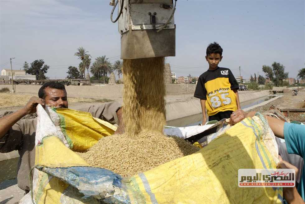 بكام الطن؟.. أسعار الأرز الشعير والأبيض اليوم الأربعاء 10-9-2025 في أسواق الشرقية