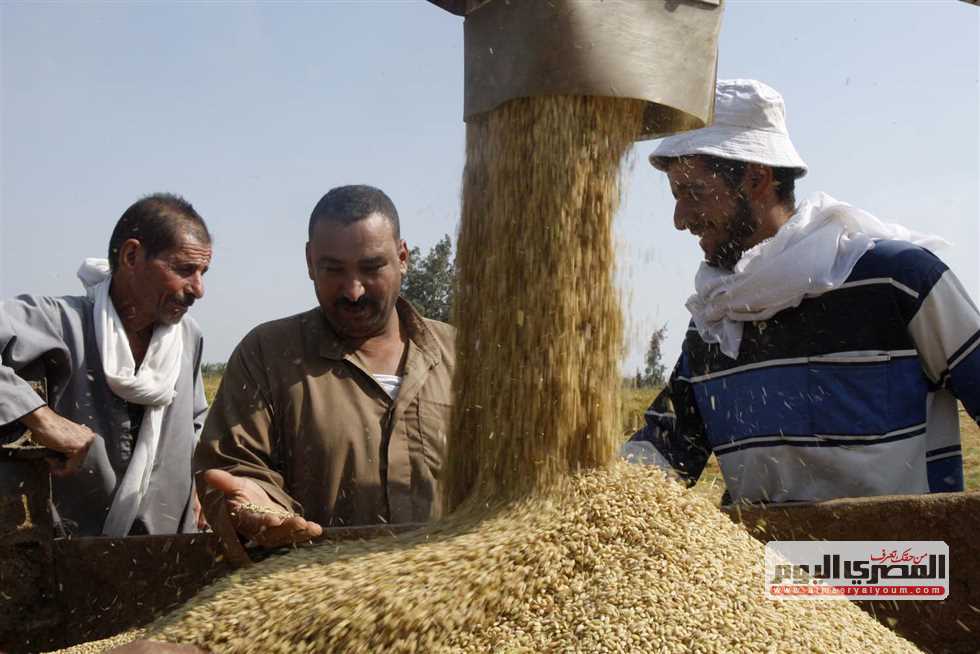 أسعار الأرز الشعير والأبيض اليوم الإثنين 15-9-2025 بـ أسواق الشرقية