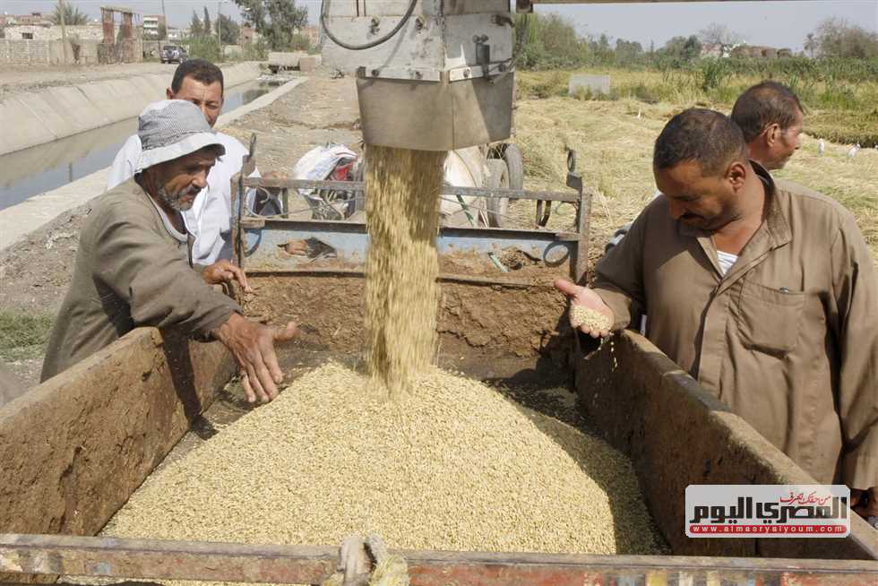 أسعار الأرز الشعير والأبيض في أسواق الشرقية اليوم الأحد 7-9-2025