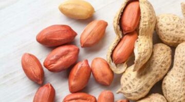 6 فوائد تجعل الفول السوداني صديق الأطفال في المدرسة