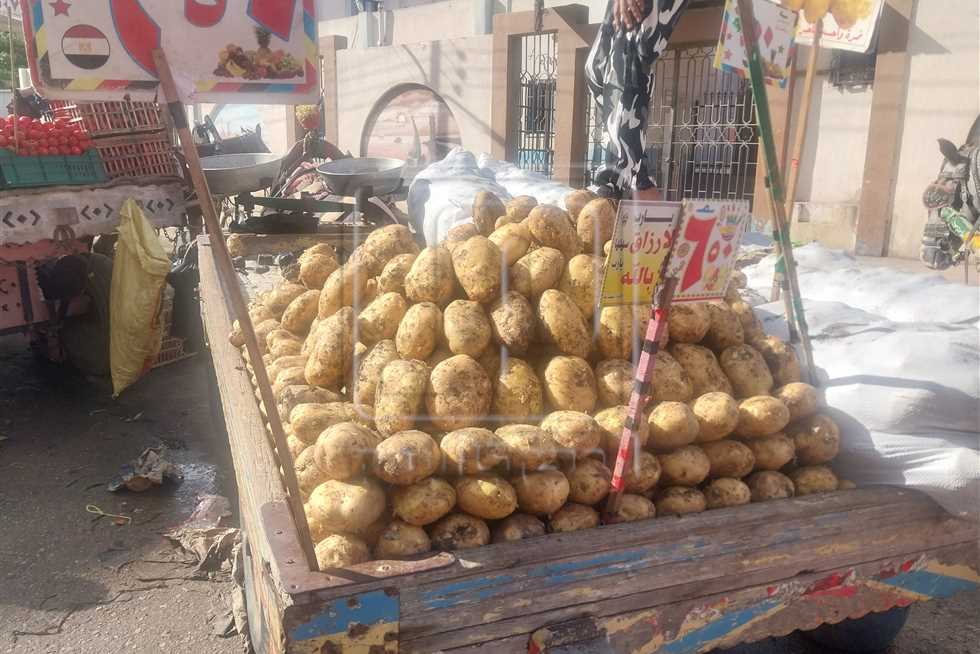 أسعار الخضروات والفاكهة اليوم 10 سبتمبر بدمياط