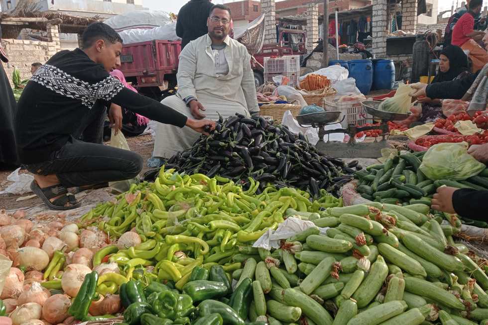 أسعار الخضار والفاكهة الأربعاء 3 سبتمبر 2025 في الشرقية