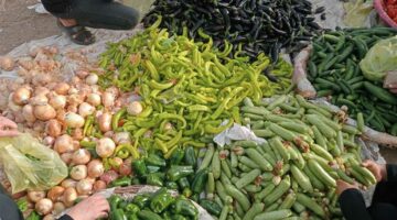 الطماطم بـ20 جنيهًا.. أسعار الخضار والفاكهة اليوم الجمعة 26 سبتمبر 2025 في أسواق الشرقية