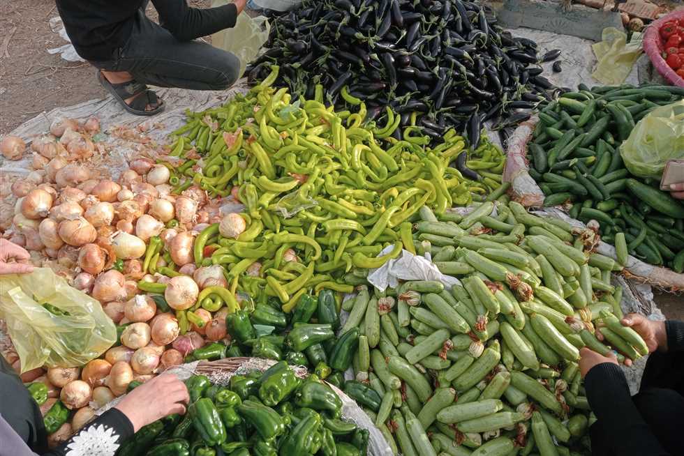 الطماطم بـ20 جنيهًا.. أسعار الخضار والفاكهة اليوم الجمعة 26 سبتمبر 2025 في أسواق الشرقية