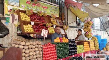 البصل بـ 15 جنيهًا.. أسعار الخضار فى مطروح اليوم الثلاثاء 23 سبتمبر 2025