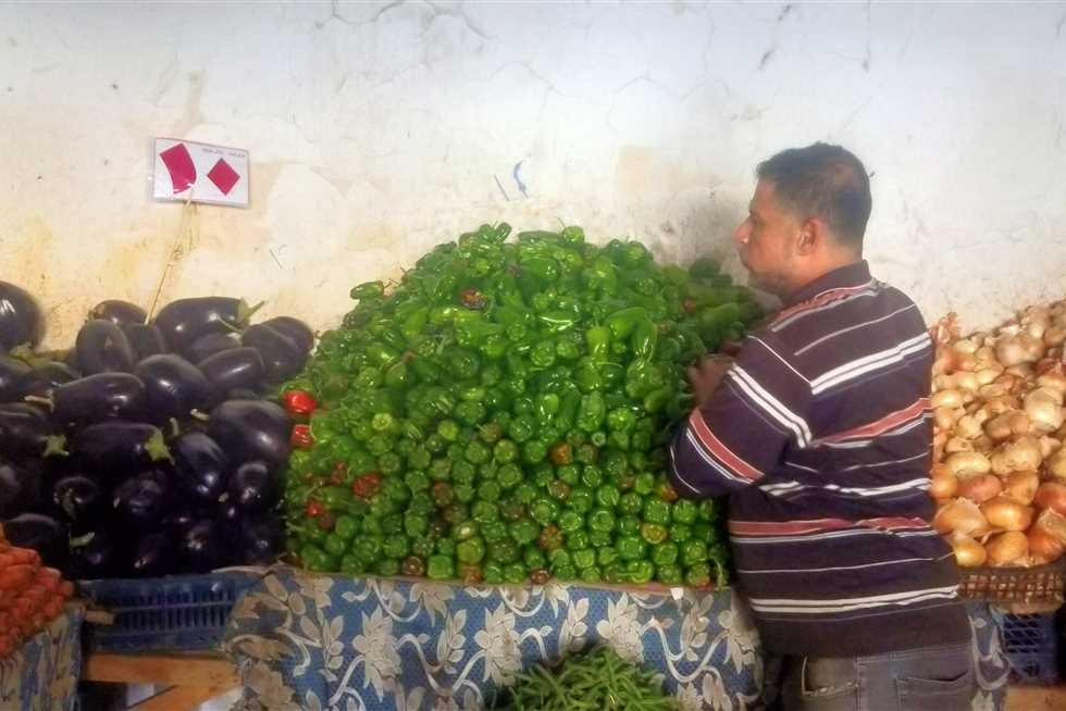 استقرار نسبي في أسعار الخضروات والفواكه بأسواق المنوفية