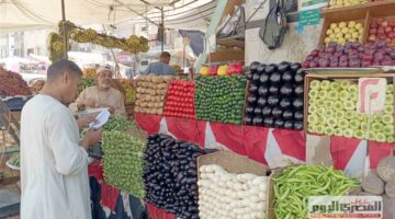 الخيار بـ 20 جنيهًا.. أسعار الخضار والفاكهة في الشرقية اليوم الثلاثاء 9 سبتمبر 2025