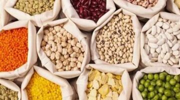 داخل وخارج الثلاجة.. أفضل 4 طرق لحفظ البقوليات لأطول فترة ممكنة (تفاصيل)