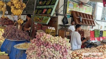 المانجا بـ40 جنيه.. أسعار الفاكهة الصيفية في أسواق الإسكندرية اليوم الاثنين 22 سبتمبر 2025