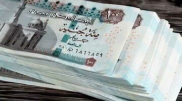 1500 جنيه.. طريقة الحصول على منحة المولد النبوي 2025 والفئات المستحقة