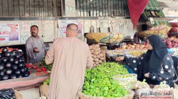 سعر الطماطم والبطاطس والخضار بالأسواق اليوم الثلاثاء 9 سبتمبر 2025