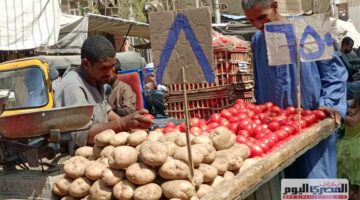 سعر البصل والطماطم والخضار بالأسواق اليوم الأربعاء 3 سبتمبر 2025