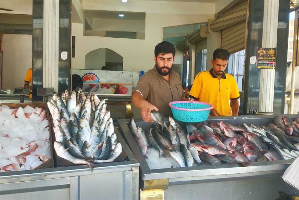 الاستاكوزا بـ650 جنيه.. أسعار السمك اليوم في مرسى مطروح