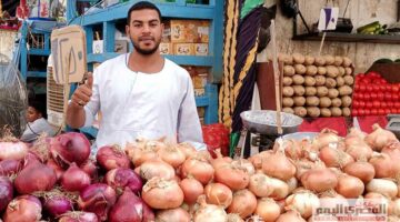 الملوخية بـ20 جنيهًا.. أسعار الخضار في أسواق الإسكندرية اليوم الأربعاء 3 سبتمبر 2025