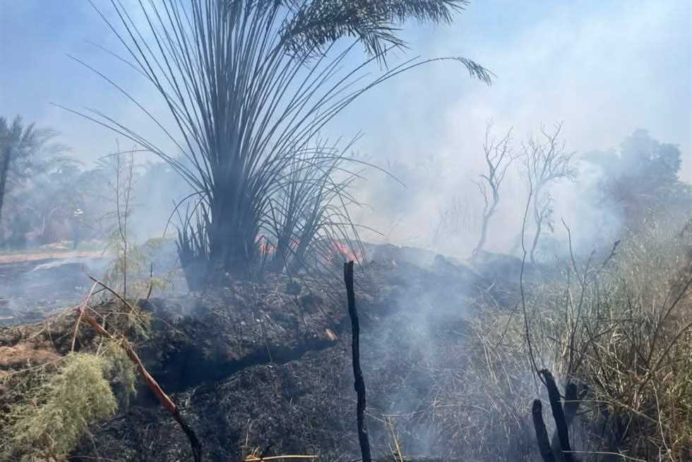 السيطرة على حريق بمنطقة زراعية بقرية ناصر الثورة في الوادي الجديد