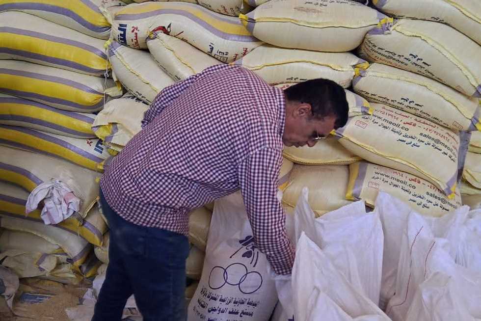 لمواجهه الاحتكار ورفع الأسعار.. حملات لضبط سوق الأعلاف في مراكز المنيا