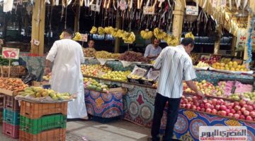 المانجو بـ50 جنيهًا.. قائمة أسعار الفاكهة الصيفية في أسواق الإسكندرية اليوم الخميس 11 سبتمبر 2025