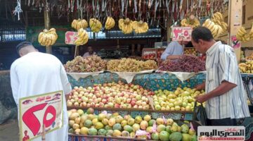 سعر التفاح والموز والفاكهة في الأسواق اليوم الاثنين 8 سبتمبر 2025