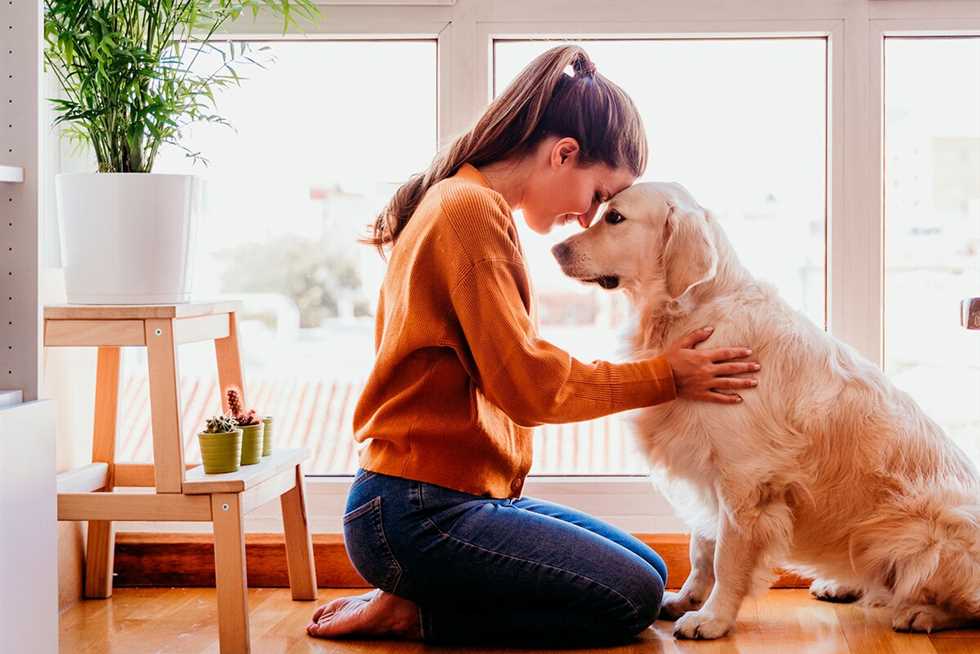 «لعبة حلوة وممتعة».. 3 خطوات بسيطة لتعليم كلبك العناق