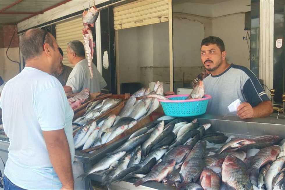 الجندوفلي بـ 50 جنيها للكيلو .. أسعار السمك اليوم في مطروح