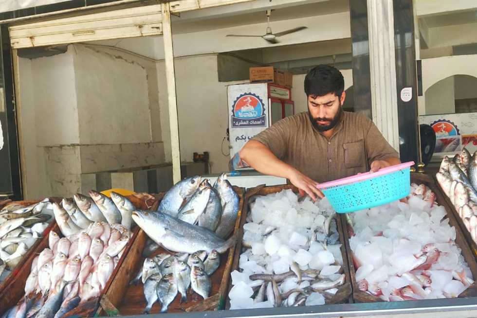 اللمبوكة بـ200 جنيه.. أسعار السمك في مطروح اليوم السبت