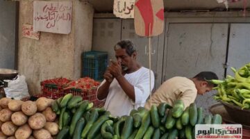 البطاطس بـ10 جنيهات.. أسعار الخضار اليوم في مرسى مطروح