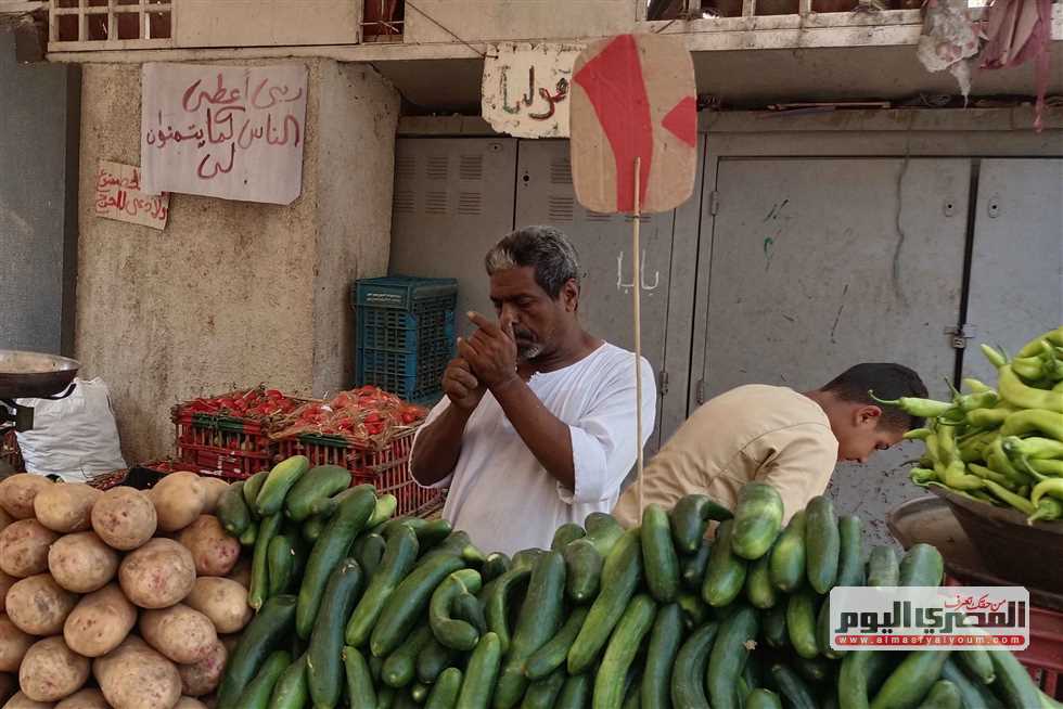 البطاطس بـ10 جنيهات.. أسعار الخضار اليوم في مرسى مطروح