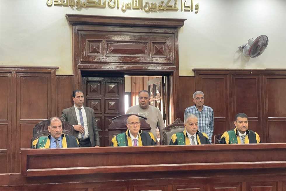 الحكم في استئناف مدرسة ومهندس طيران ومضيف على حبسهم بـ«المؤبد والمشدد» 16 أكتوبر