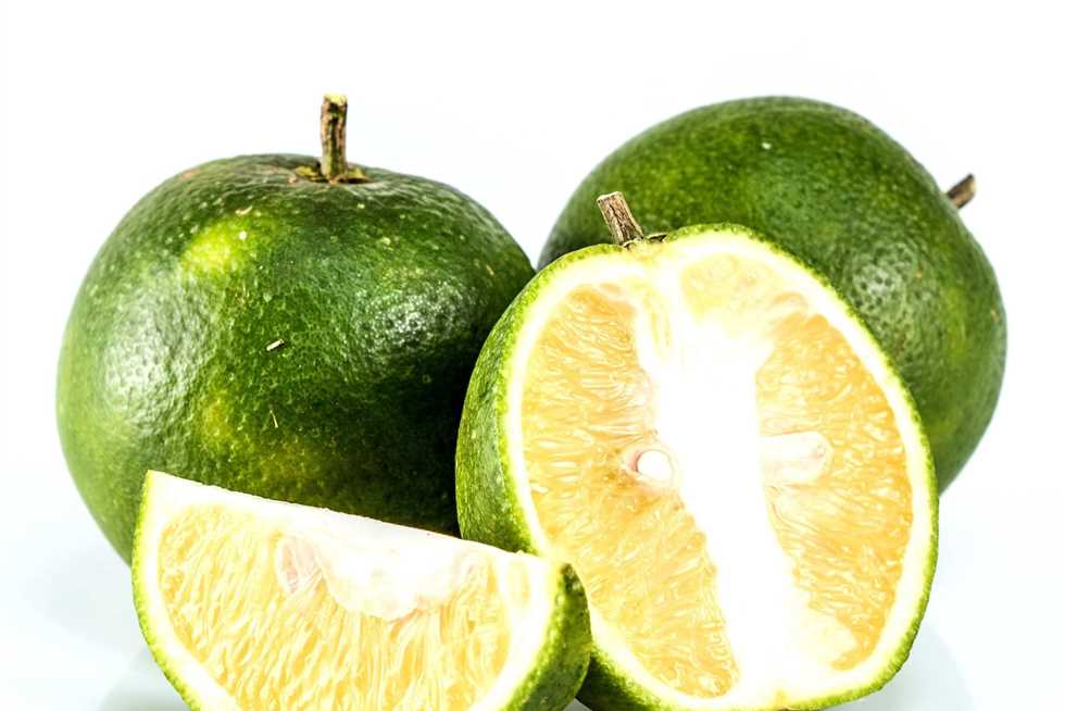 بعد ظهوره في الأسواق.. ما هو الفرق بين البرتقال والتفاح من حيث القيمة الغذائية؟