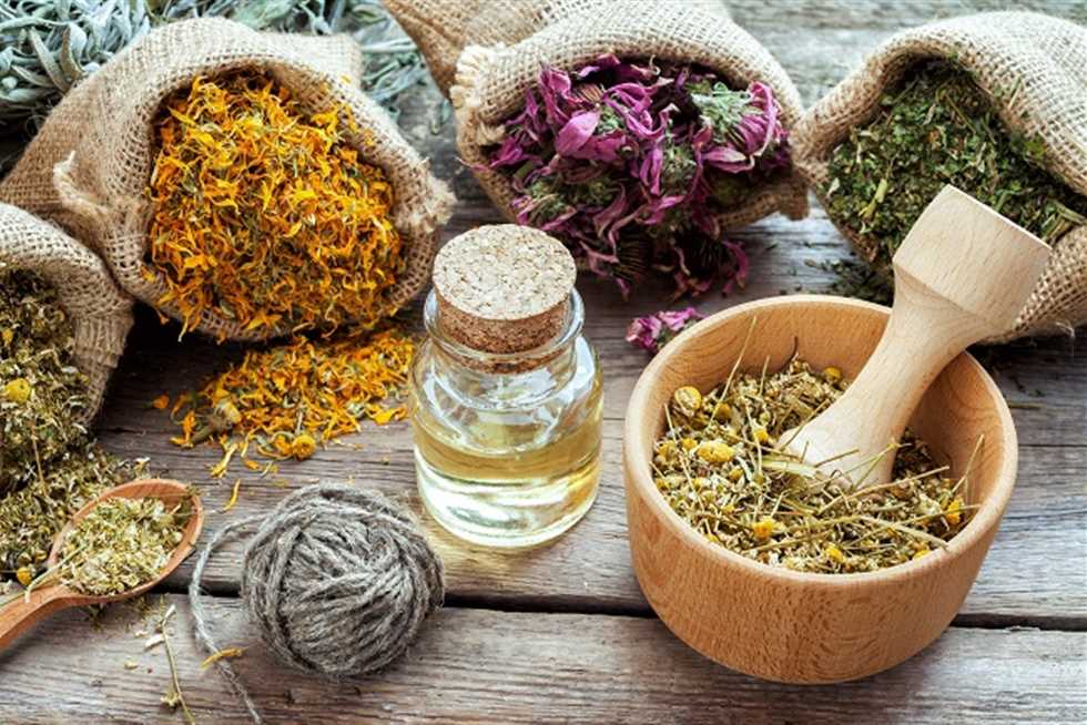 بعضها سام.. خبير تغذية يحذر من تناول بعض الأعشاب: «مش أي حاجة تتاكل»