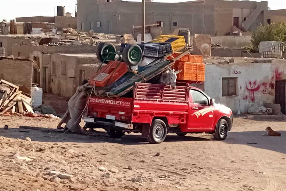مدينة رأس غارب تواصل ترحيل عربات «الكارو » إلى قنا بعد حظر سيرها بالشوارع