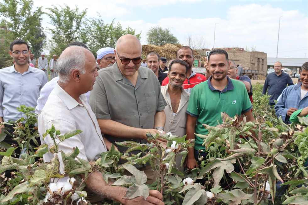 12 ألف جنيه لقنطار القطن.. محافظ القليوبية يفتتح موسم جني «الذهب الأبيض» بكفر شكر