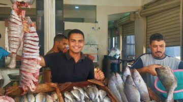 سعر البلطى (أسوانى وممتاز) والجمبري في الأسواق الاثنين 29 سبتمبر 2025