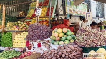 استقرار أسعار الفاكهة في مطروح اليوم الثلاثاء 30 سبتمبر 2025