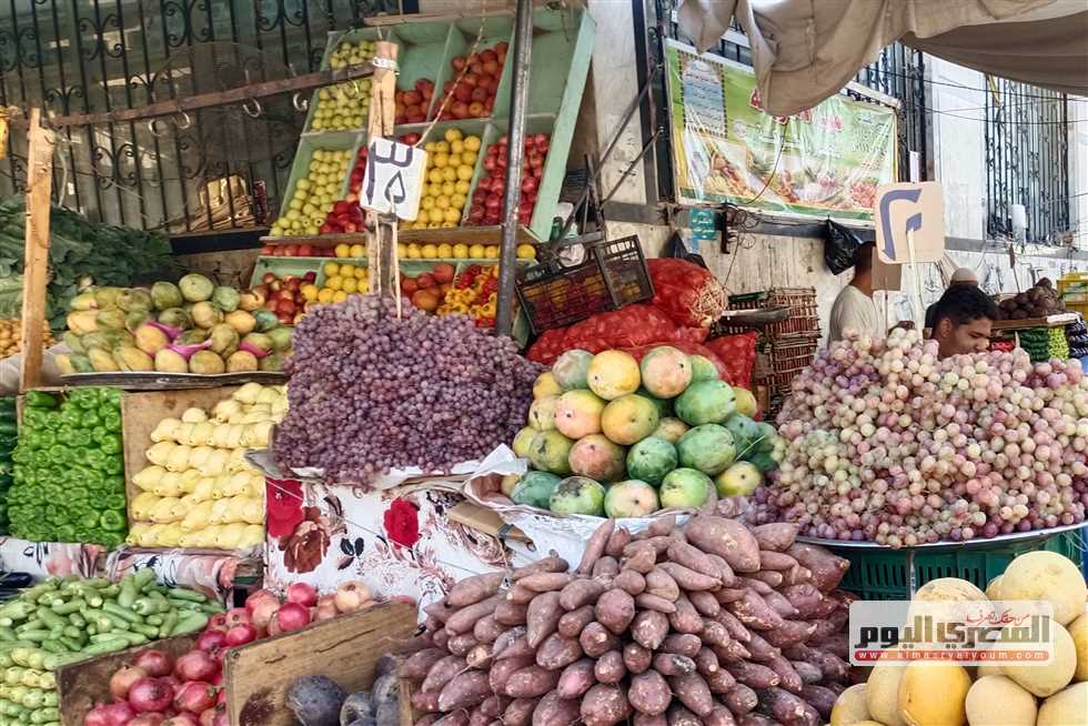 استقرار أسعار الفاكهة في مطروح اليوم الثلاثاء 30 سبتمبر 2025