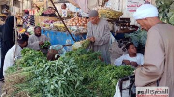 استقرار أسعار الخضار في مطروح اليوم الثلاثاء 30 سبتمبر 2025