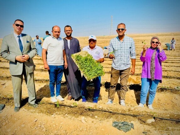 «أفرولاند للتنمية المستدامة» تطلق موسم زراعة وتجفيف الطماطم من الأقصر للتصدير إلى العالم «فيديو»